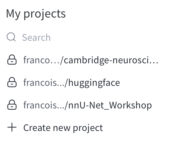 Project creation interface on Weights & Biases