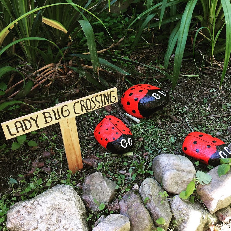 A summer gathering in a garden