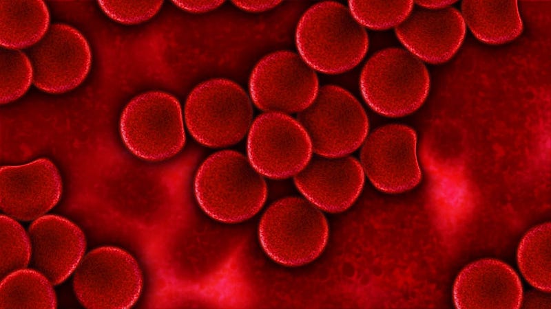 Illustration of blood components