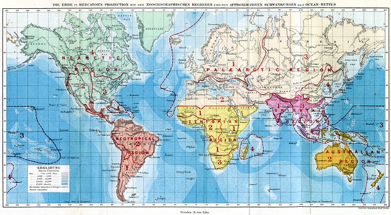 The original map from Wallace’s work showcasing various biogeographic lines