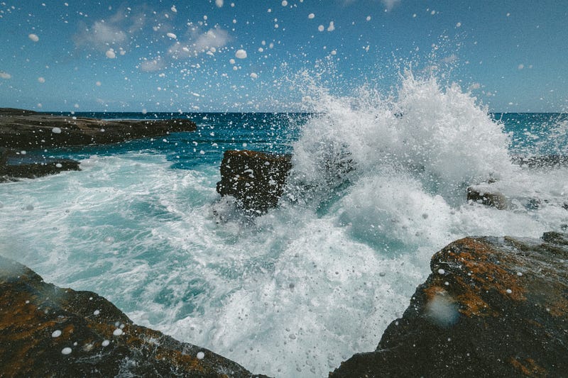 Tidal Energy Turbines in Action