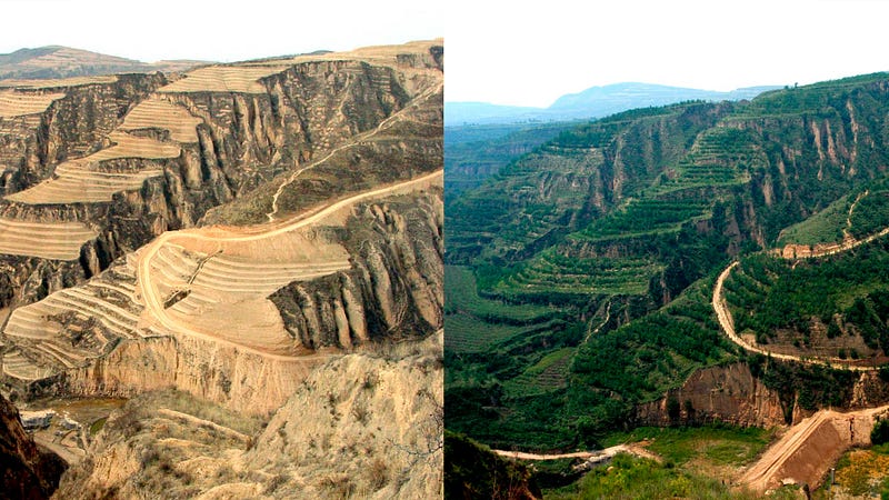 Restoring the Loess Plateau's Ecosystem