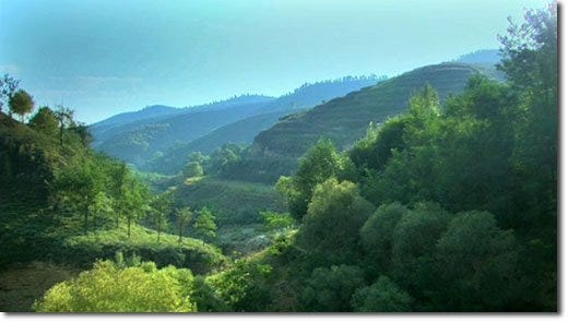 Revitalized Loess Plateau