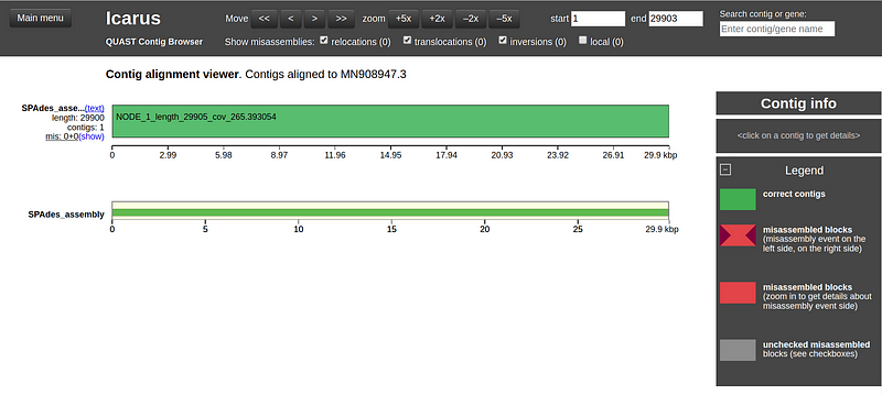 Viewing contig alignment in Icarus.