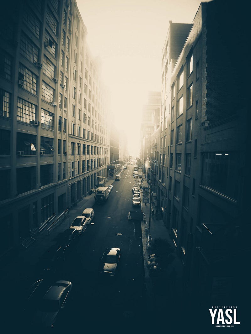 Scenic view from The High Line near Hell’s Kitchen