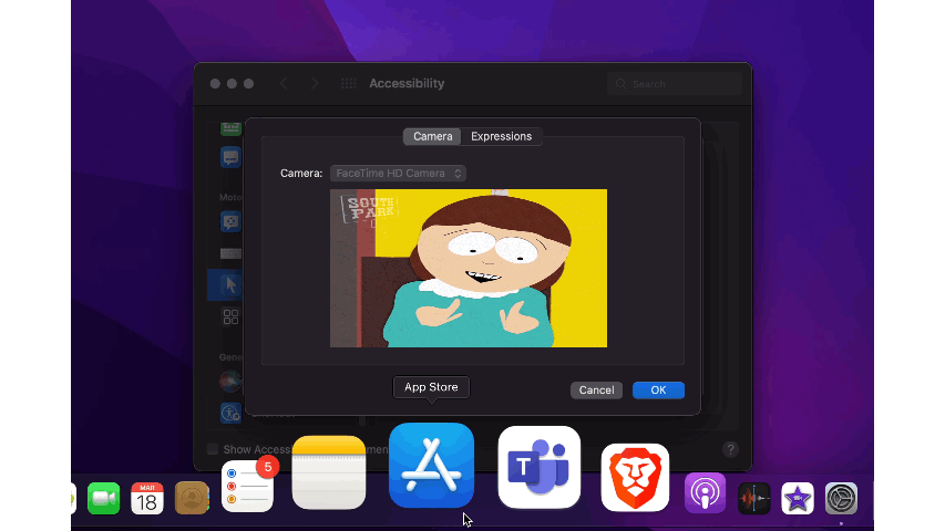 Adjusting facial expressions for Mac control