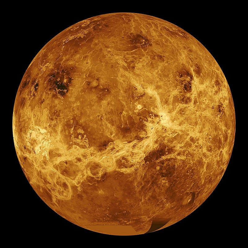 Volcanic landscape of Venus