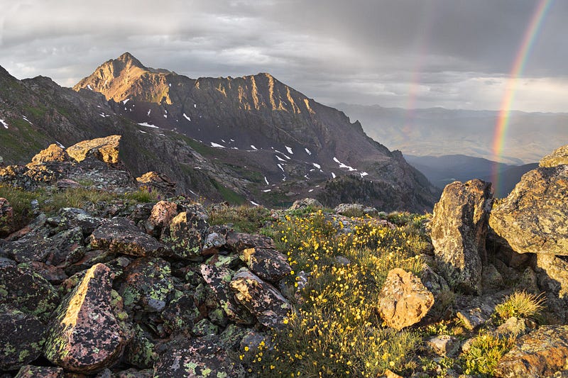 Capturing the essence of magic light in nature