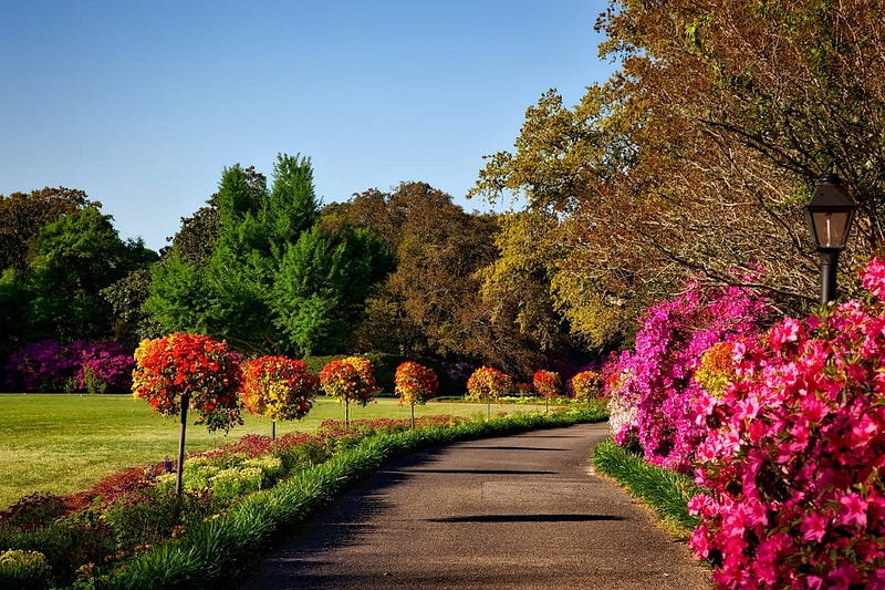 Overcoming allergies to enjoy the outdoors